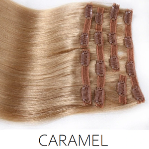 #16 Caramel Clip in Human Hair Extensions